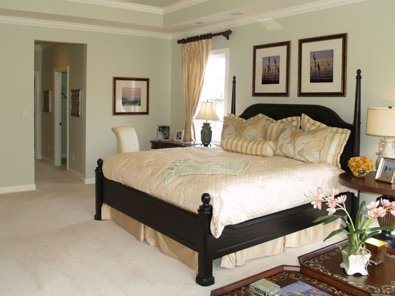 Best Interior Paint Colors For Homes