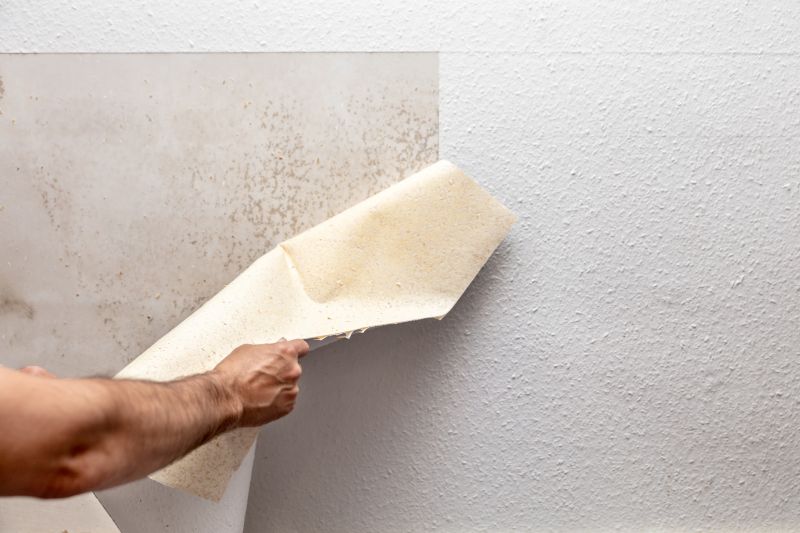 Texture Removal