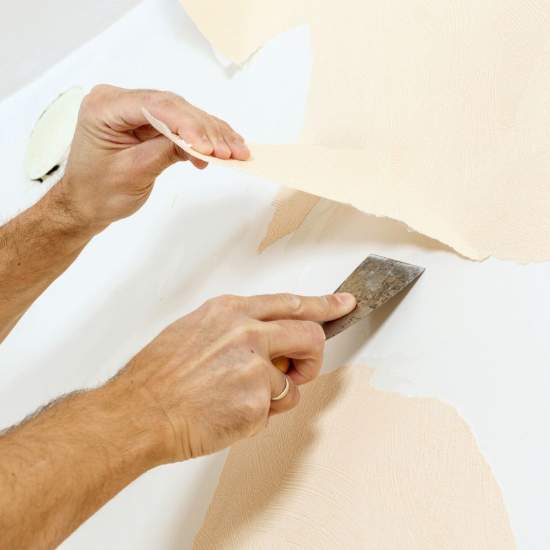 Texture Removal