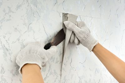 Texture Removal